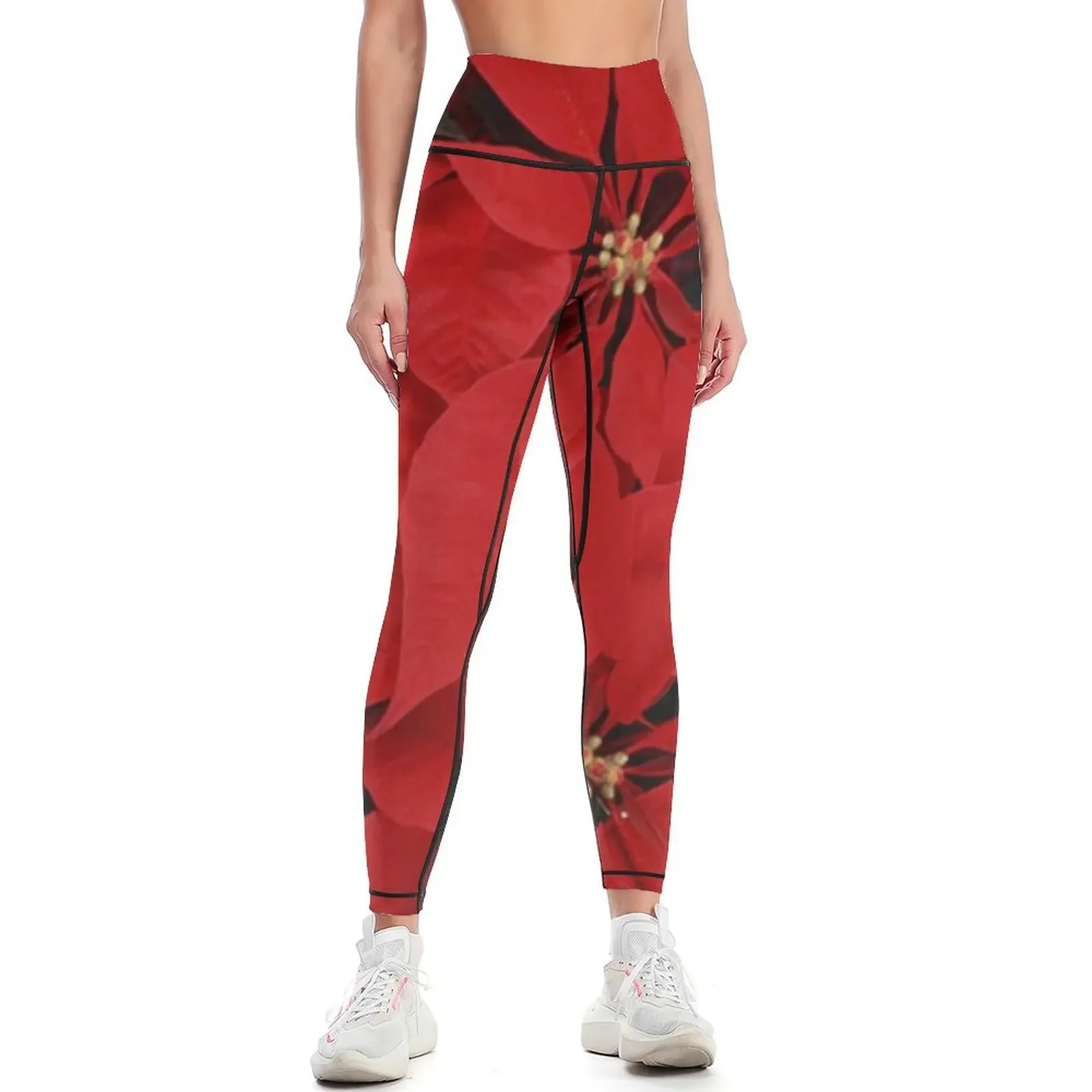 Poinsettias for Christmas, hol - Yoga Fitness Holiday incelemesi ve fiyatı