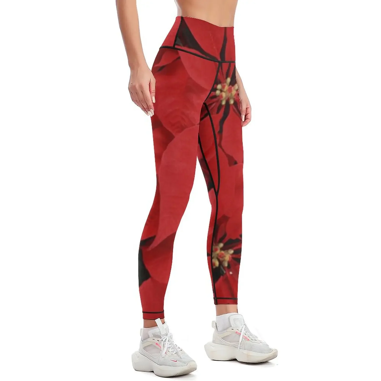 Poinsettias for Christmas, hol - Yoga Fitness Holiday incelemesi ve fiyatı