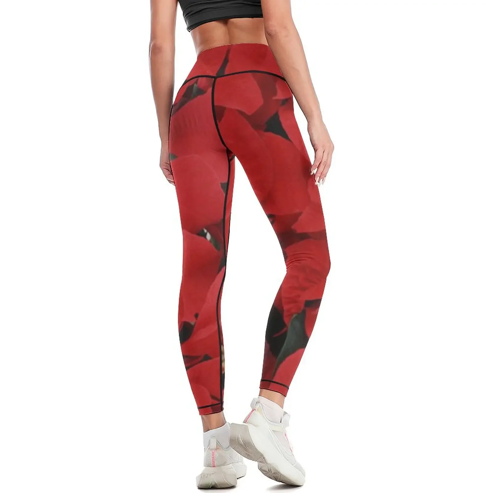 Poinsettias for Christmas, hol - Yoga Fitness Holiday incelemesi ve fiyatı